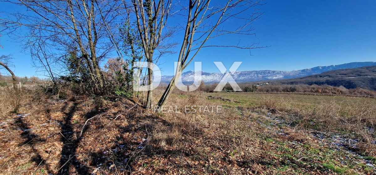 ISTRA, PIĆAN - Gradbeno zemljišče, oljčni nasad, vinograd, njiva, popolna samota in fantastičen razgled