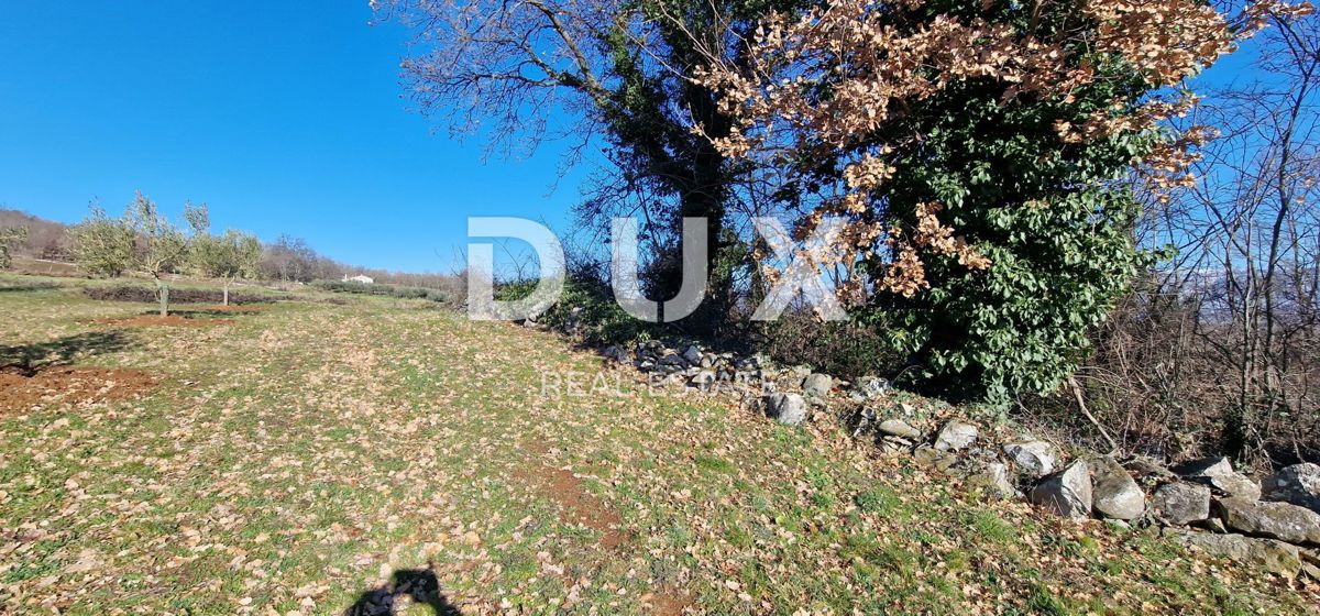 ISTRA, PIĆAN - Gradbeno zemljišče, oljčni nasad, vinograd, njiva, popolna samota in fantastičen razgled