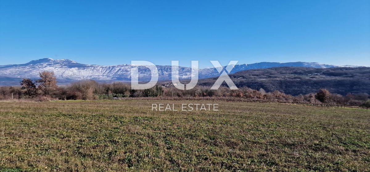 ISTRA, PIĆAN - Gradbeno zemljišče, oljčni nasad, vinograd, njiva, popolna samota in fantastičen razgled