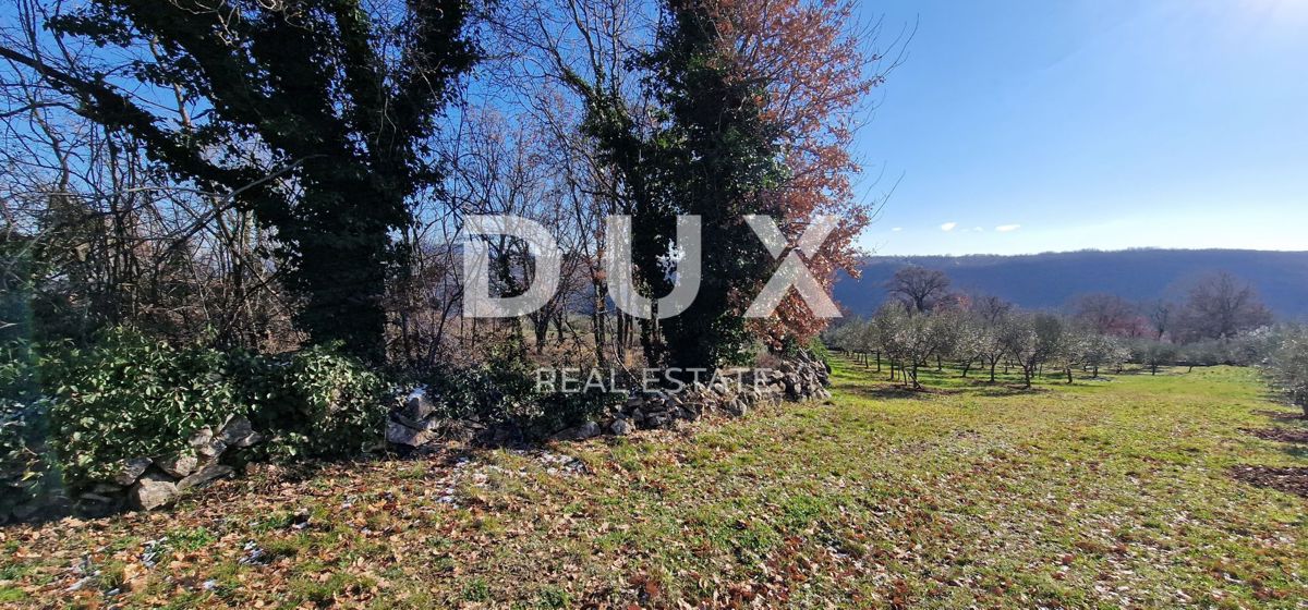 ISTRA, PIĆAN - Gradbeno zemljišče, oljčni nasad, vinograd, njiva, popolna samota in fantastičen razgled