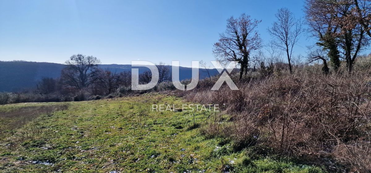 ISTRA, PIĆAN - Gradbeno zemljišče, oljčni nasad, vinograd, njiva, popolna samota in fantastičen razgled