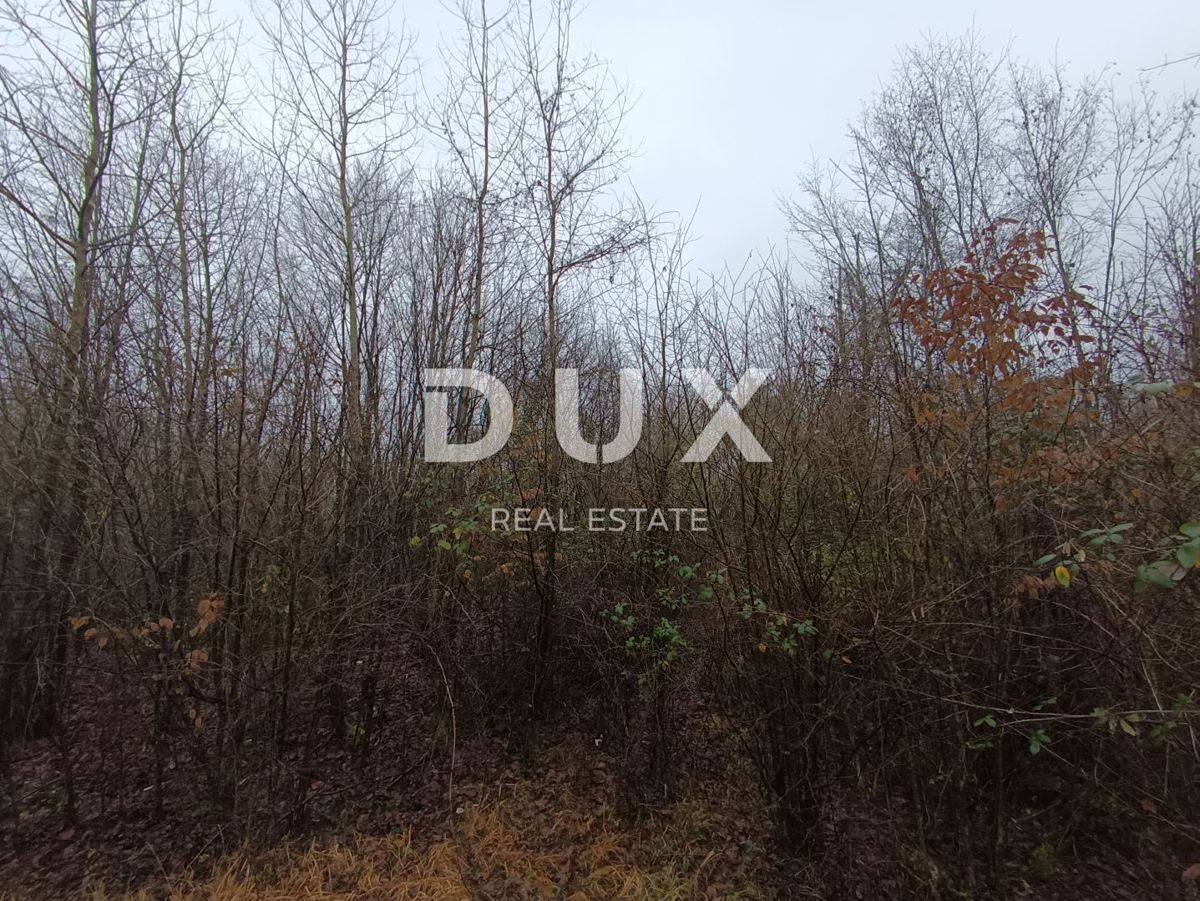 MATULJI, JURDANI- Zazidljivo zemljišče 4000m2