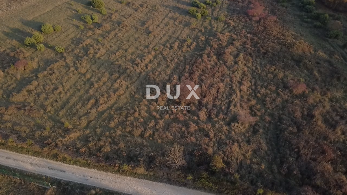 ZADAR, MURVICA - Kmetijsko zemljišče 2200m²