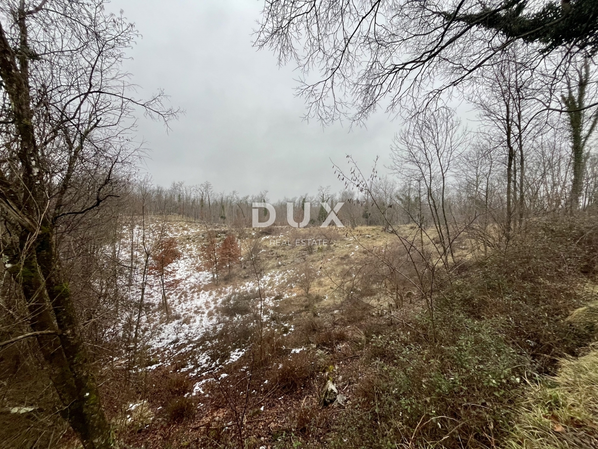 Zemljišče Permani, Matulji, 3.262m2