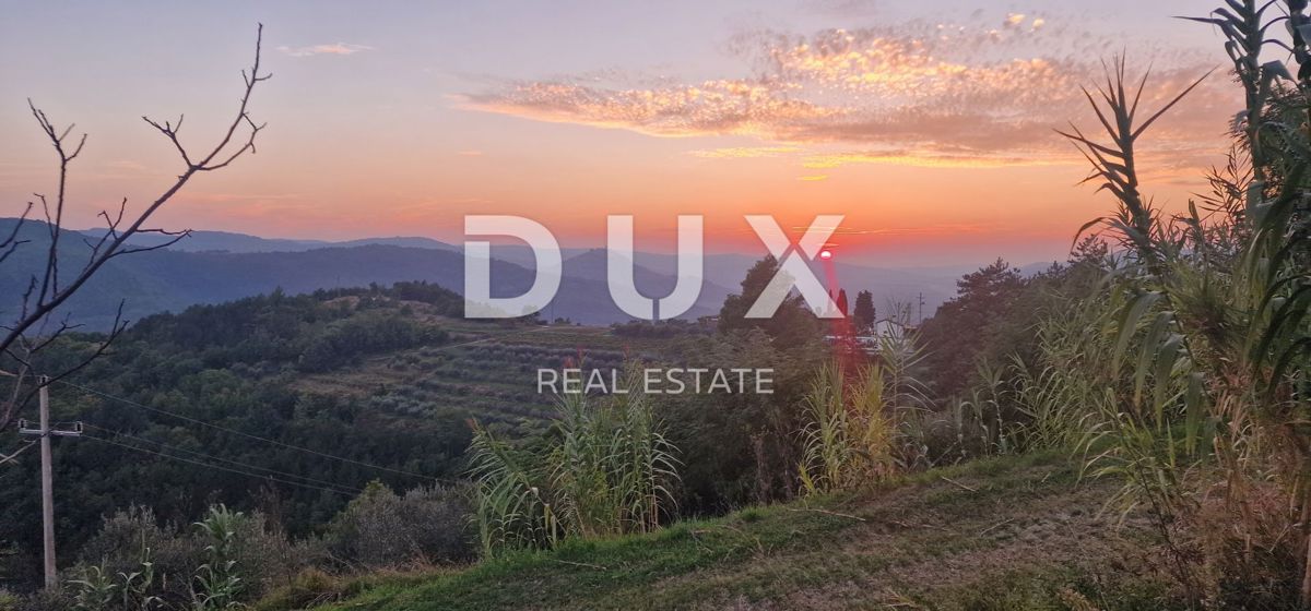 ISTRA, MOTOVUN - Veliko posestvo 170.000 m2, najlepši razgled v Istri - jezero Butoniga, Učka, Ćićarija, Motovun in Motovunski gozd tartufov!