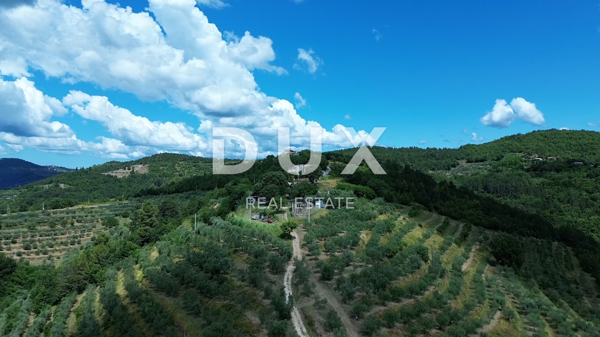 ISTRA, MOTOVUN - Veliko posestvo 170.000 m2, najlepši razgled v Istri - jezero Butoniga, Učka, Ćićarija, Motovun in Motovunski gozd tartufov!