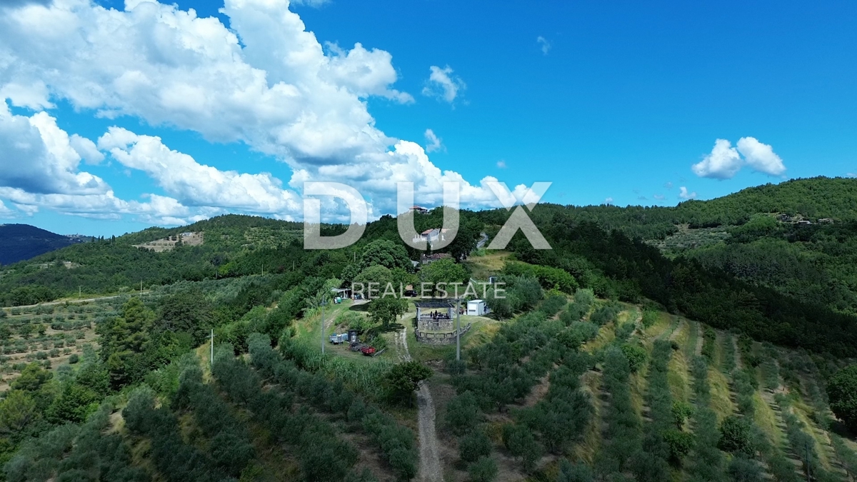 ISTRA, MOTOVUN - Veliko posestvo 170.000 m2, najlepši razgled v Istri - jezero Butoniga, Učka, Ćićarija, Motovun in Motovunski gozd tartufov!