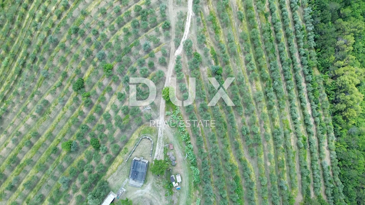 ISTRA, MOTOVUN - Veliko posestvo 170.000 m2, najlepši razgled v Istri - jezero Butoniga, Učka, Ćićarija, Motovun in Motovunski gozd tartufov!