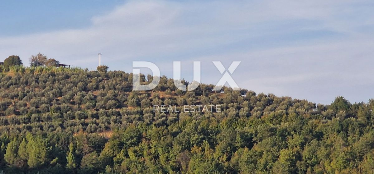 ISTRA, MOTOVUN - Veliko posestvo 170.000 m2, najlepši razgled v Istri - jezero Butoniga, Učka, Ćićarija, Motovun in Motovunski gozd tartufov!