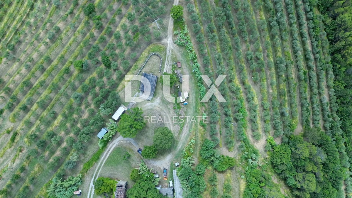 ISTRA, MOTOVUN - Veliko posestvo 170.000 m2, najlepši razgled v Istri - jezero Butoniga, Učka, Ćićarija, Motovun in Motovunski gozd tartufov!