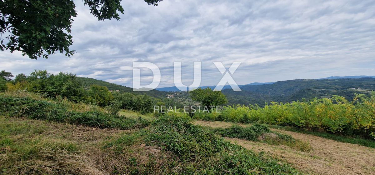 ISTRA, MOTOVUN - Veliko posestvo 170.000 m2, najlepši razgled v Istri - jezero Butoniga, Učka, Ćićarija, Motovun in Motovunski gozd tartufov!