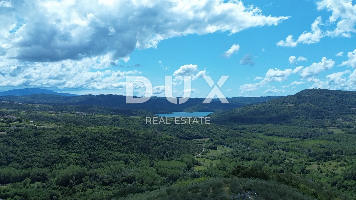 ISTRA, MOTOVUN - Veliko posestvo 170.000 m2, najlepši razgled v Istri - jezero Butoniga, Učka, Ćićarija, Motovun in Motovunski gozd tartufov!