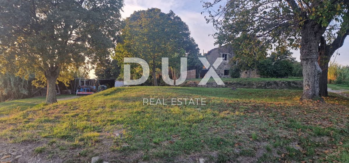 ISTRA, MOTOVUN - Veliko posestvo 170.000 m2, najlepši razgled v Istri - jezero Butoniga, Učka, Ćićarija, Motovun in Motovunski gozd tartufov!