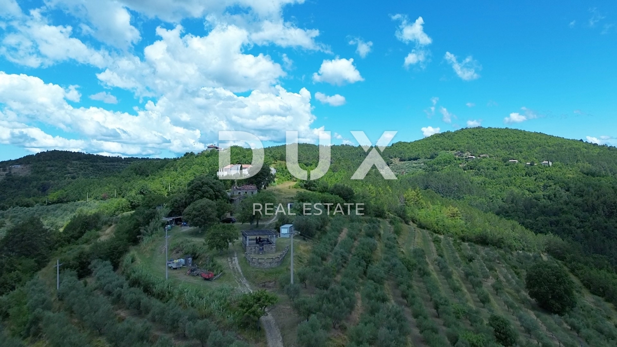 ISTRA, MOTOVUN - Veliko posestvo 170.000 m2, najlepši razgled v Istri - jezero Butoniga, Učka, Ćićarija, Motovun in Motovunski gozd tartufov!