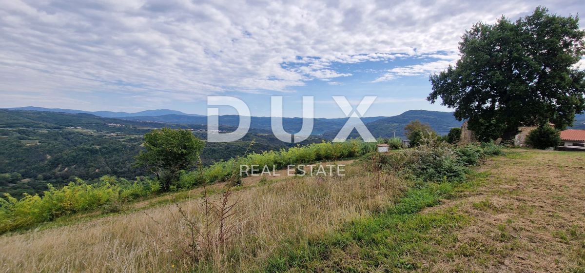 ISTRA, MOTOVUN - Veliko posestvo 170.000 m2, najlepši razgled v Istri - jezero Butoniga, Učka, Ćićarija, Motovun in Motovunski gozd tartufov!