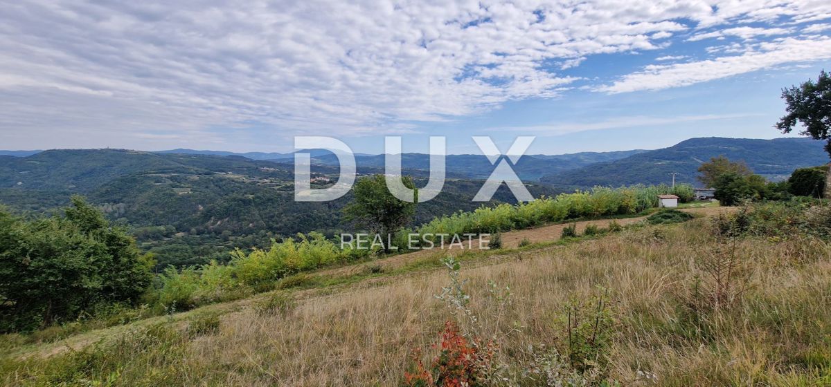 ISTRA, MOTOVUN - Veliko posestvo 170.000 m2, najlepši razgled v Istri - jezero Butoniga, Učka, Ćićarija, Motovun in Motovunski gozd tartufov!