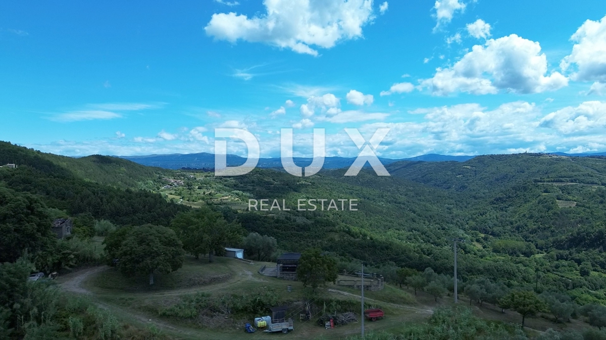 ISTRA, MOTOVUN - Veliko posestvo 170.000 m2, najlepši razgled v Istri - jezero Butoniga, Učka, Ćićarija, Motovun in Motovunski gozd tartufov!