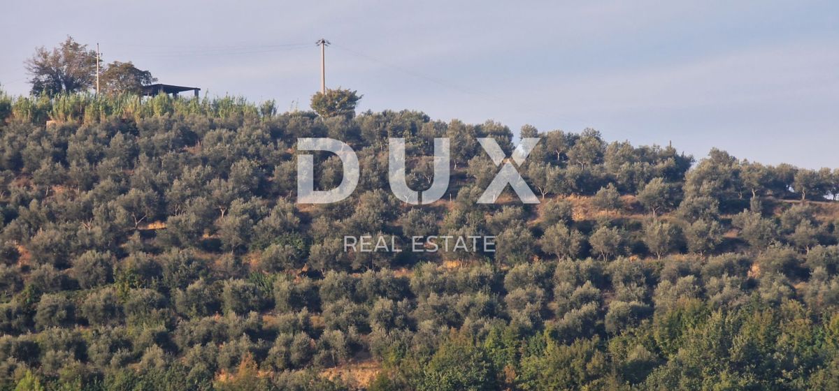 ISTRA, MOTOVUN - Veliko posestvo 170.000 m2, najlepši razgled v Istri - jezero Butoniga, Učka, Ćićarija, Motovun in Motovunski gozd tartufov!