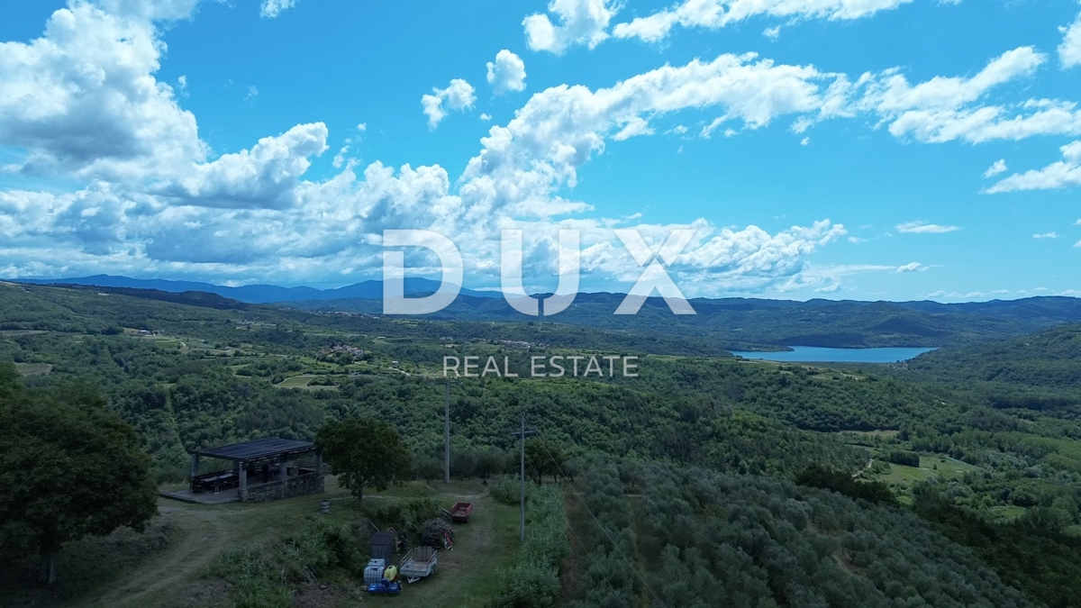 ISTRA, MOTOVUN - Veliko posestvo 170.000 m2, najlepši razgled v Istri - jezero Butoniga, Učka, Ćićarija, Motovun in Motovunski gozd tartufov!