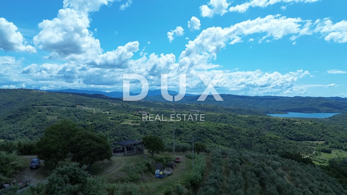 ISTRA, MOTOVUN - Veliko posestvo 170.000 m2, najlepši razgled v Istri - jezero Butoniga, Učka, Ćićarija, Motovun in Motovunski gozd tartufov!