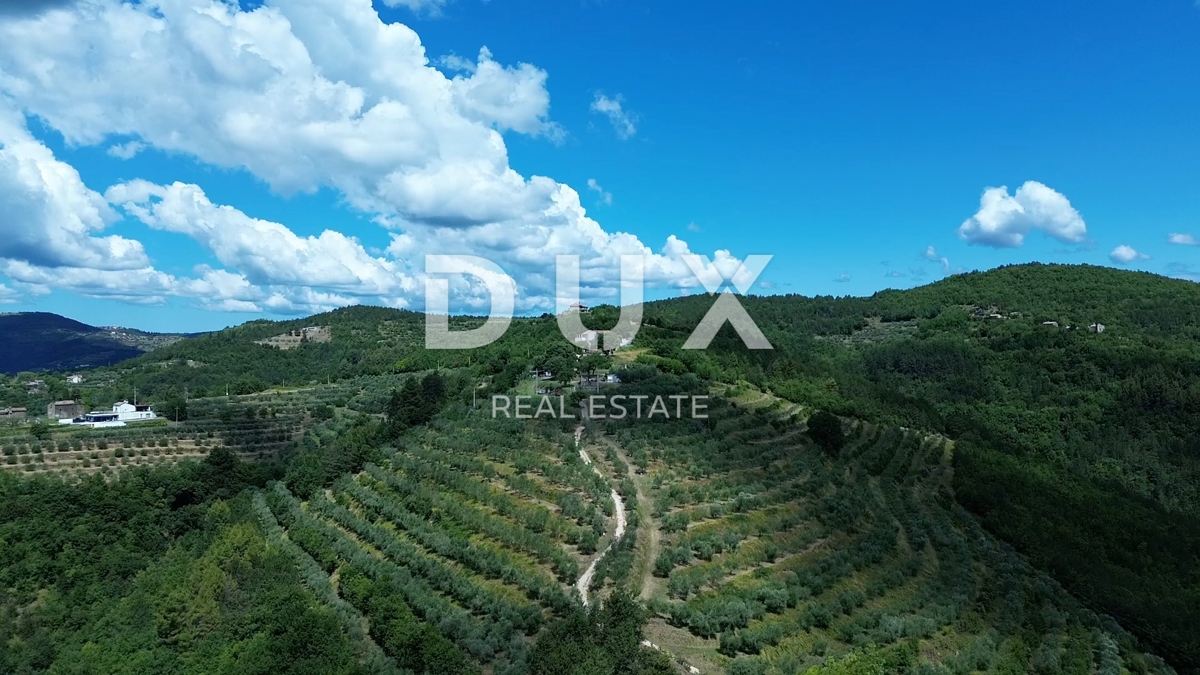 ISTRA, MOTOVUN - Veliko posestvo 170.000 m2, najlepši razgled v Istri - jezero Butoniga, Učka, Ćićarija, Motovun in Motovunski gozd tartufov!