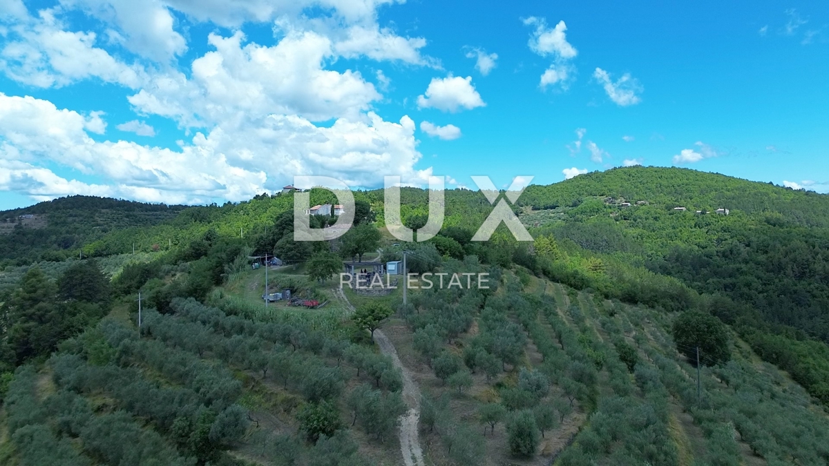 ISTRA, MOTOVUN - Veliko posestvo 170.000 m2, najlepši razgled v Istri - jezero Butoniga, Učka, Ćićarija, Motovun in Motovunski gozd tartufov!