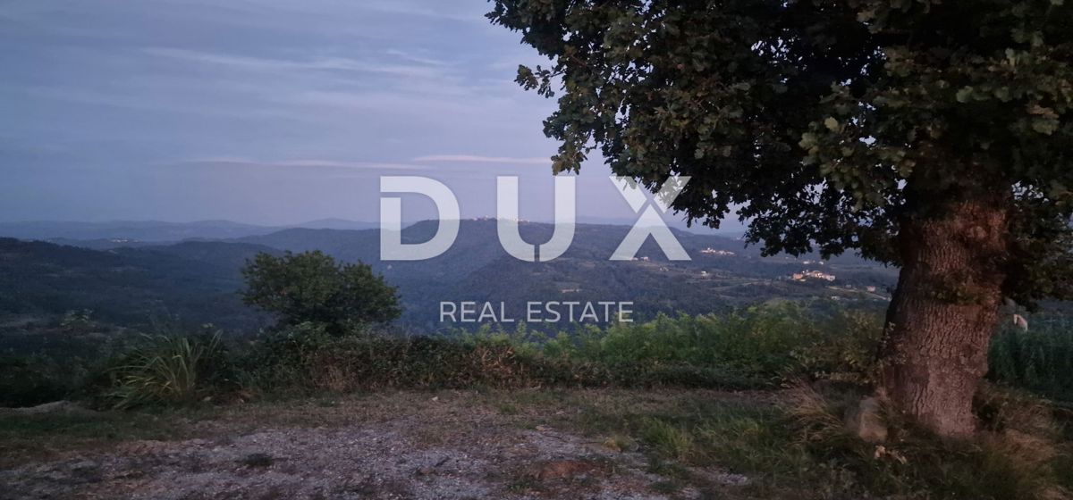 ISTRA, MOTOVUN - Veliko posestvo 170.000 m2, najlepši razgled v Istri - jezero Butoniga, Učka, Ćićarija, Motovun in Motovunski gozd tartufov!