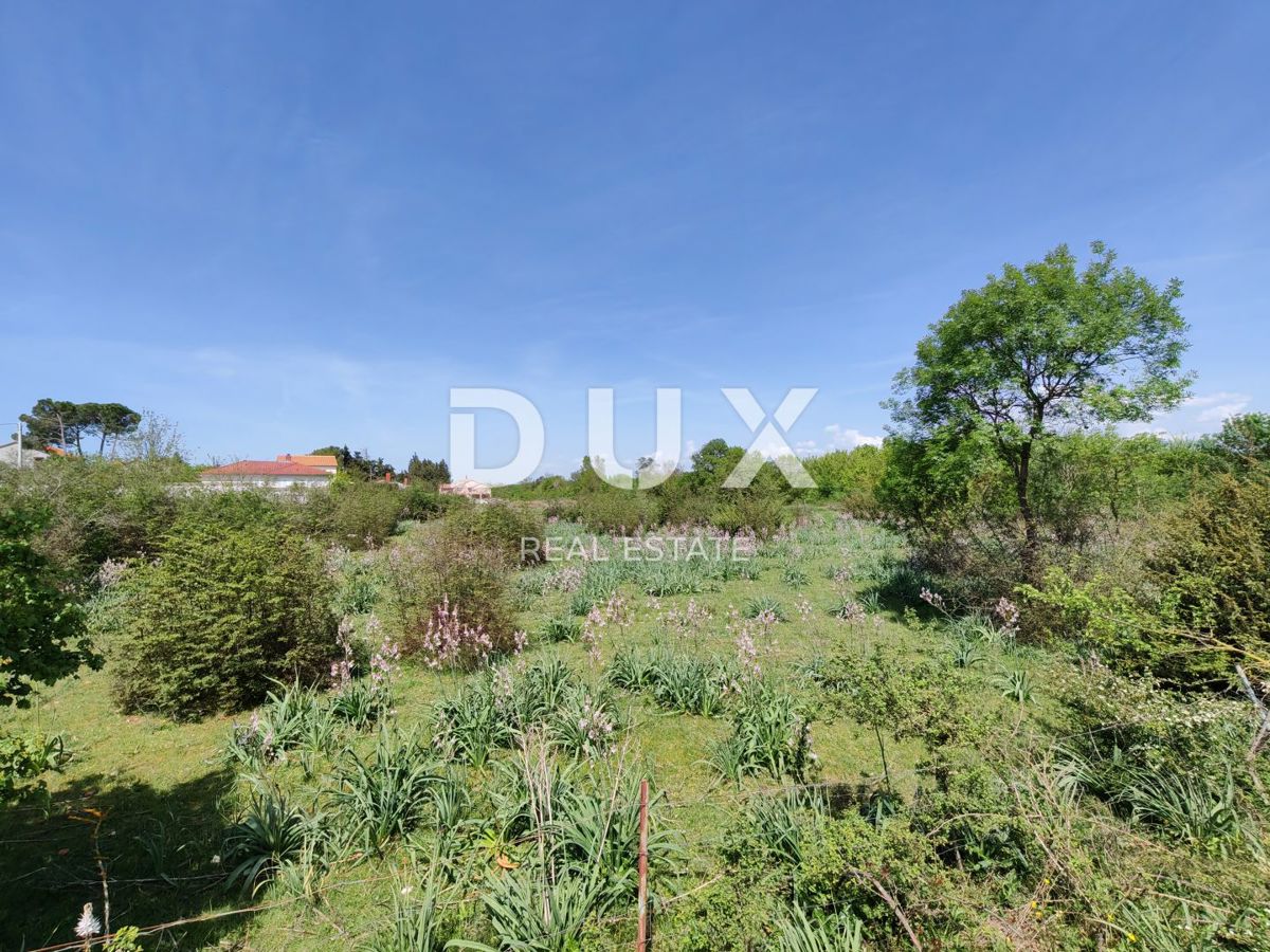 ZADAR, BRIŠEVO - Čudovito zazidljivo zemljišče v miru in naravi! Možnost parcelacije! 