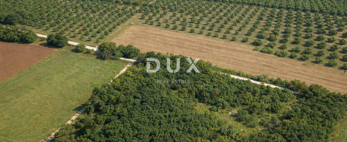 ISTRA, LOBORIKA – Pravilno oblikovano kmetijsko zemljišče