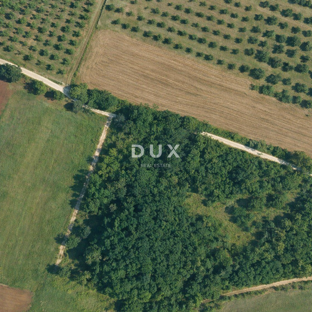 ISTRA, LOBORIKA – Pravilno oblikovano kmetijsko zemljišče