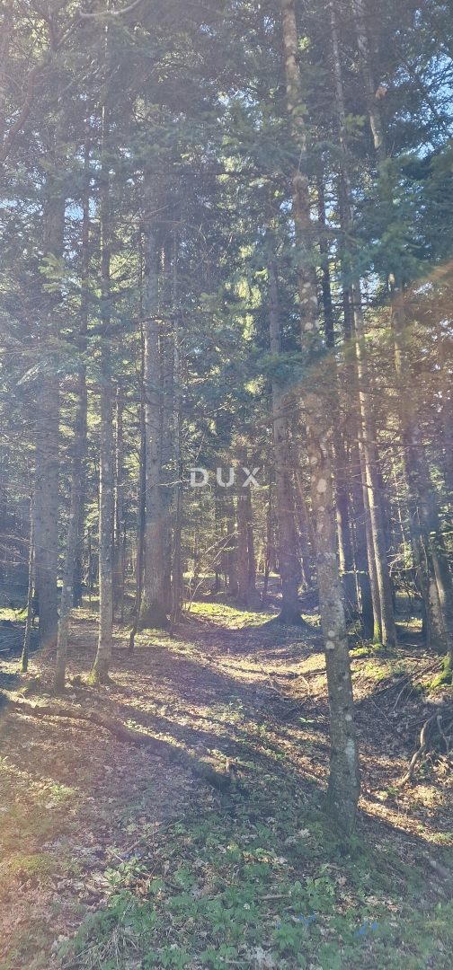 DELNICE, RAVNA GORA - zemljišče s skupno površino 13400 m2