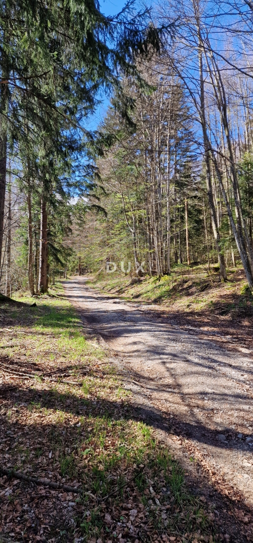 DELNICE, RAVNA GORA - zemljišče s skupno površino 13400 m2