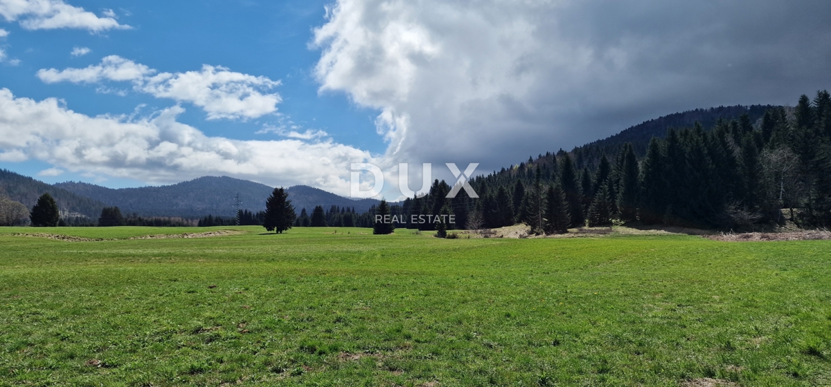 DELNICE, RAVNA GORA - zemljišče s skupno površino 13400 m2