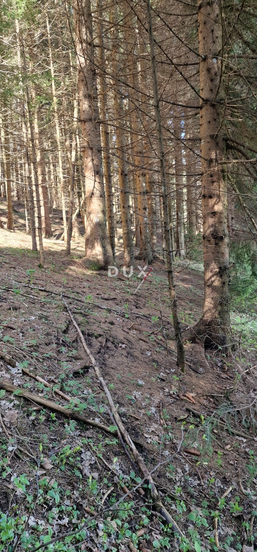 DELNICE, RAVNA GORA - zemljišče s skupno površino 13400 m2