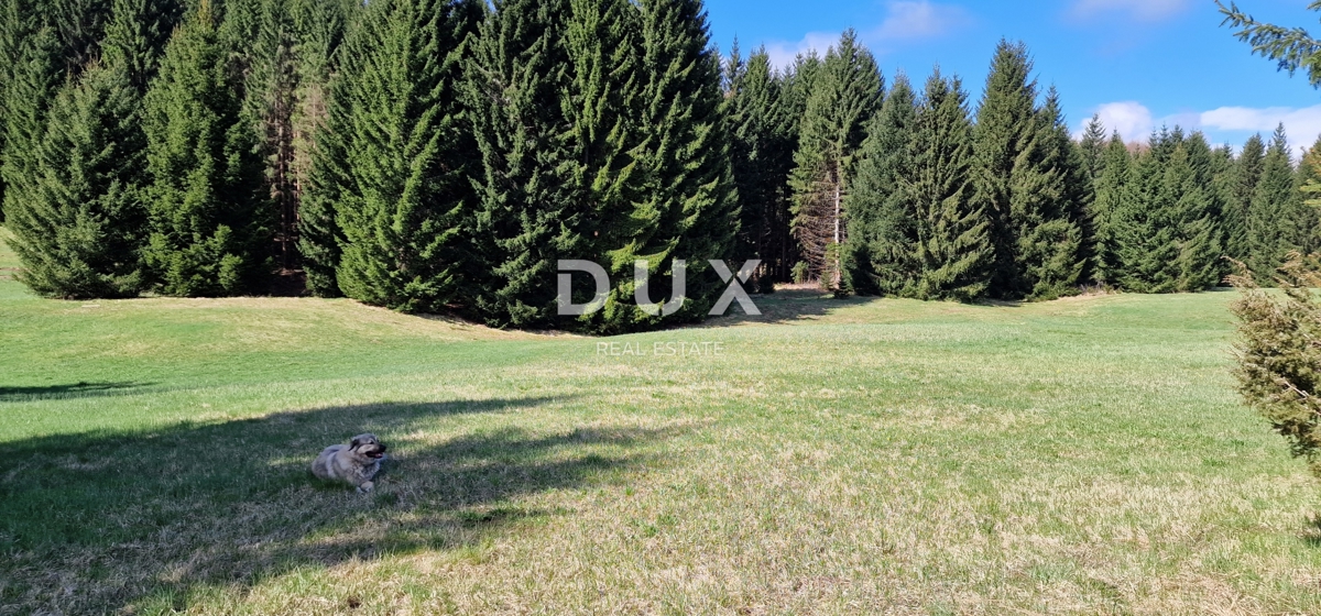 DELNICE, RAVNA GORA - zemljišče s skupno površino 13400 m2
