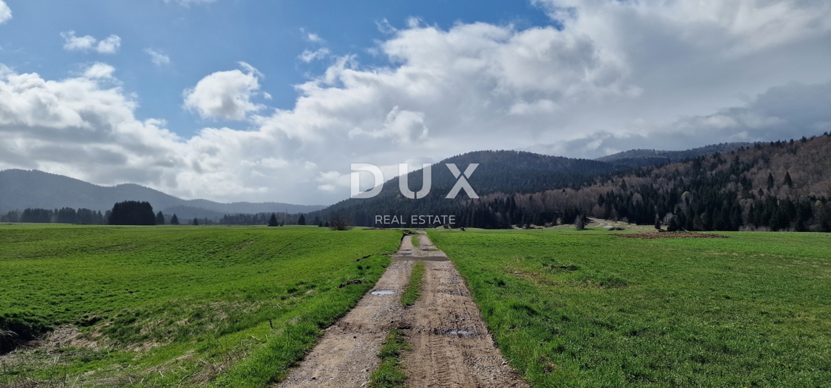 DELNICE, RAVNA GORA - zemljišče s skupno površino 13400 m2