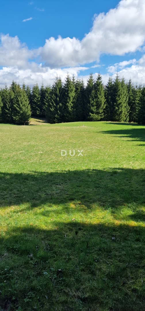 DELNICE, RAVNA GORA - zemljišče s skupno površino 13400 m2
