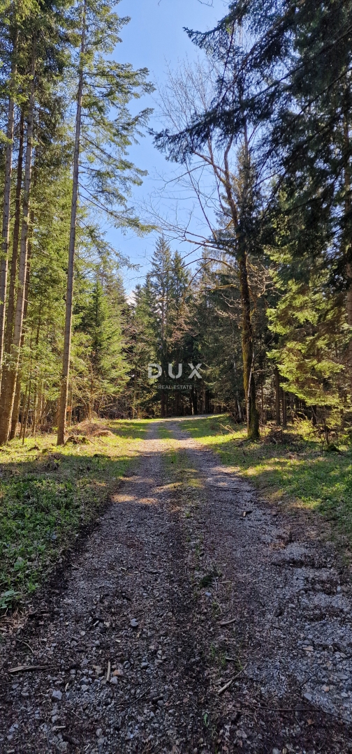 DELNICE, RAVNA GORA - zemljišče s skupno površino 13400 m2