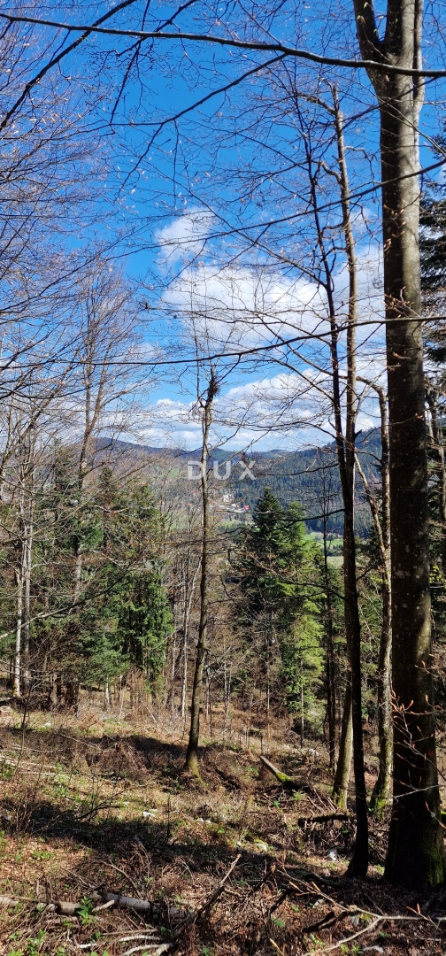 DELNICE, RAVNA GORA - zemljišče s skupno površino 13400 m2