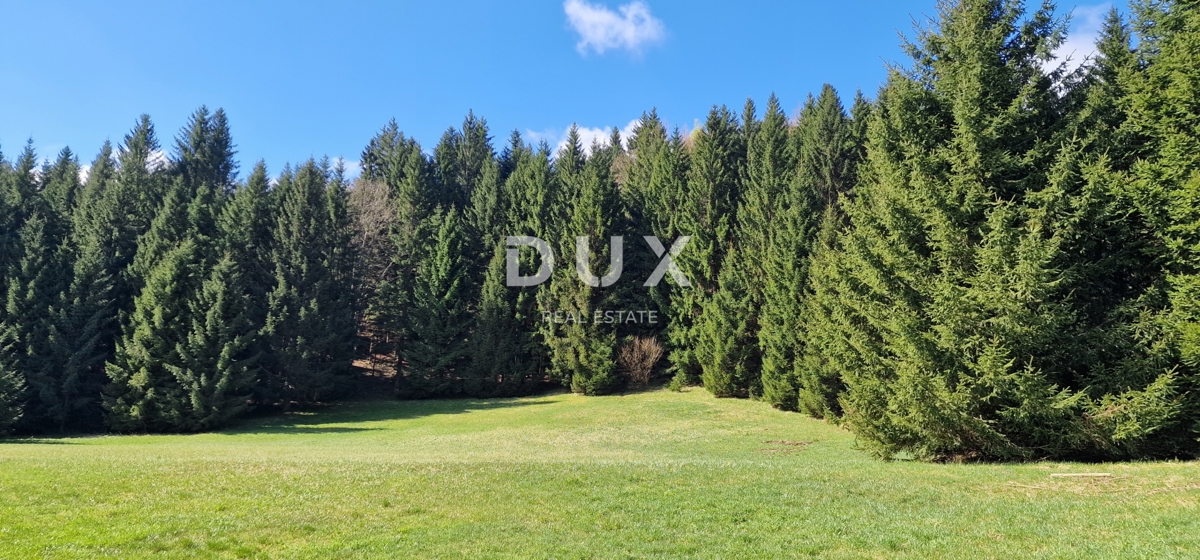 DELNICE, RAVNA GORA - zemljišče s skupno površino 13400 m2