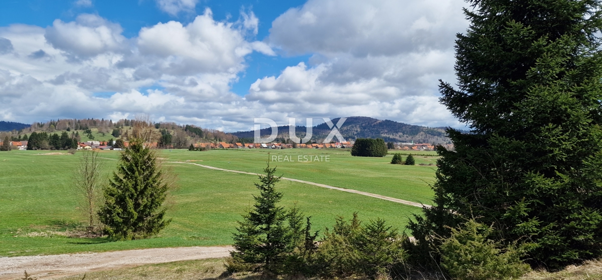 DELNICE, RAVNA GORA - zemljišče s skupno površino 13400 m2