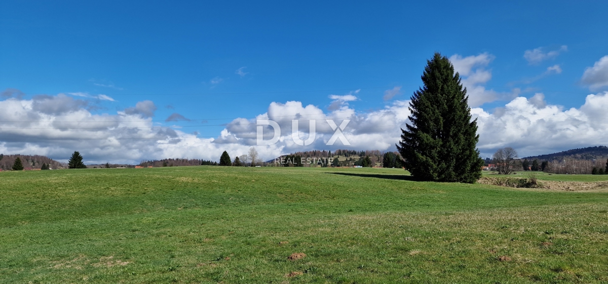 DELNICE, RAVNA GORA - zemljišče s skupno površino 13400 m2