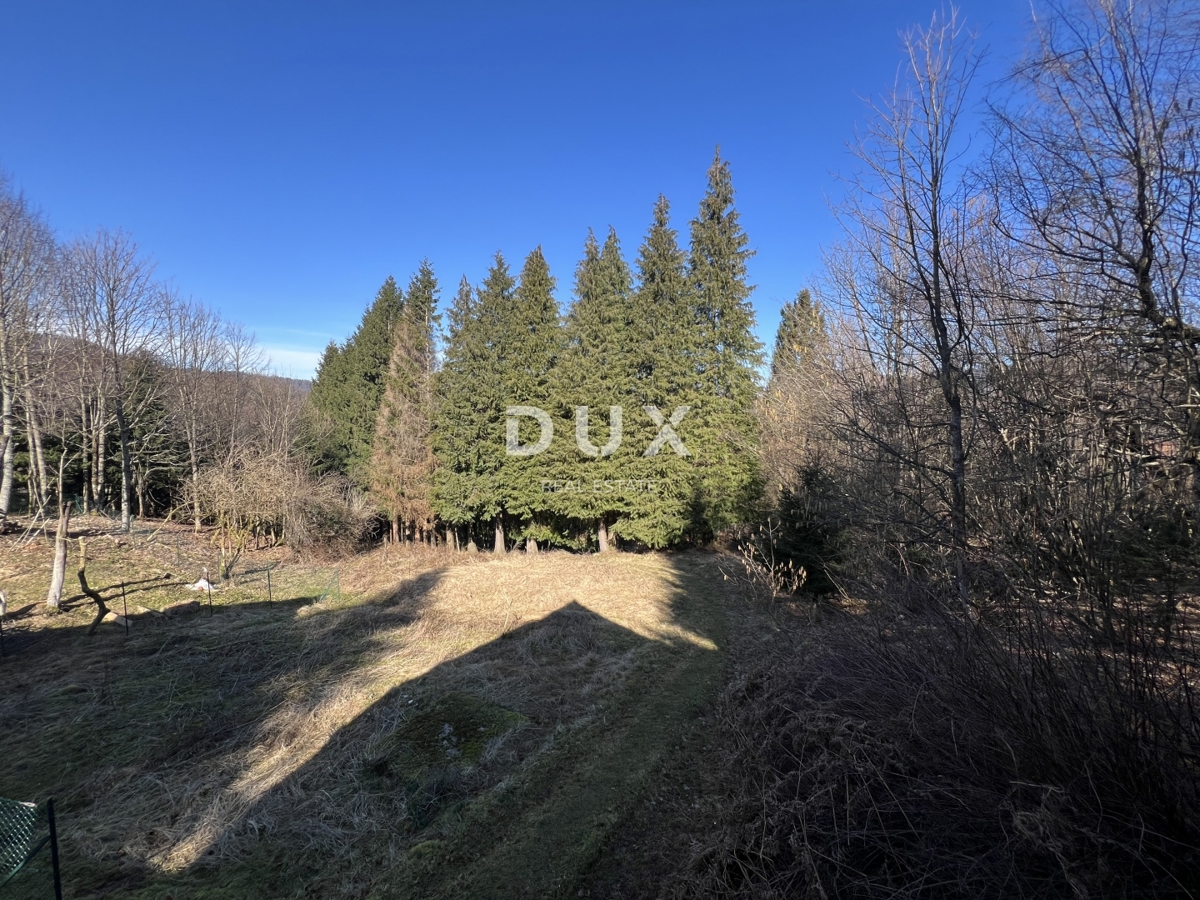 GORSKI KOTAR, DELNICE, OKOLICA - Hiša na robu narodnega parka