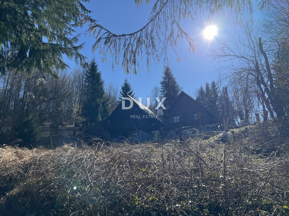 GORSKI KOTAR, DELNICE, OKOLICA - Hiša na robu narodnega parka