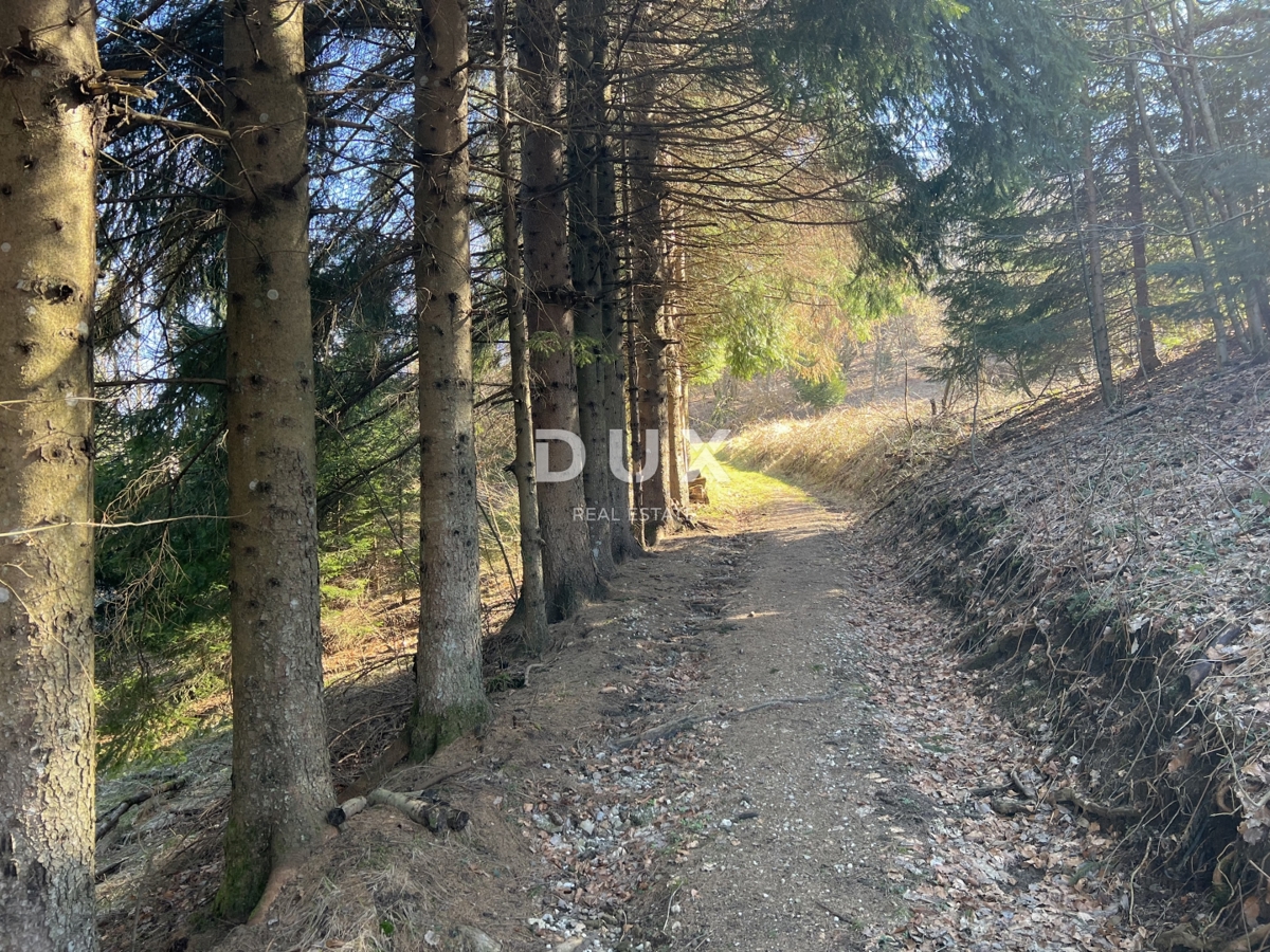 GORSKI KOTAR, DELNICE, OKOLICA - Hiša na robu narodnega parka