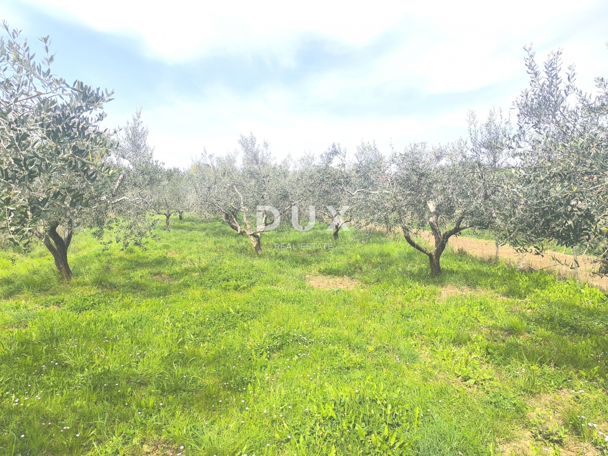 Zemljišče Premantura, Medulin, 1.010m2