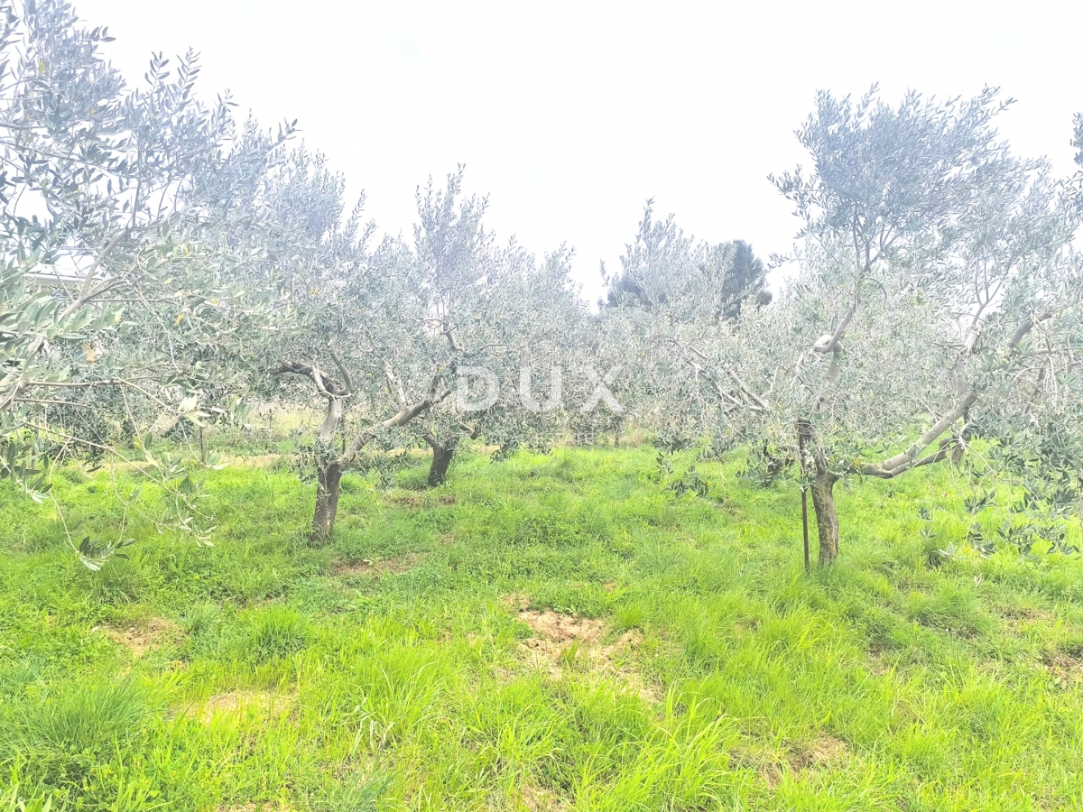 Zemljišče Premantura, Medulin, 1.010m2