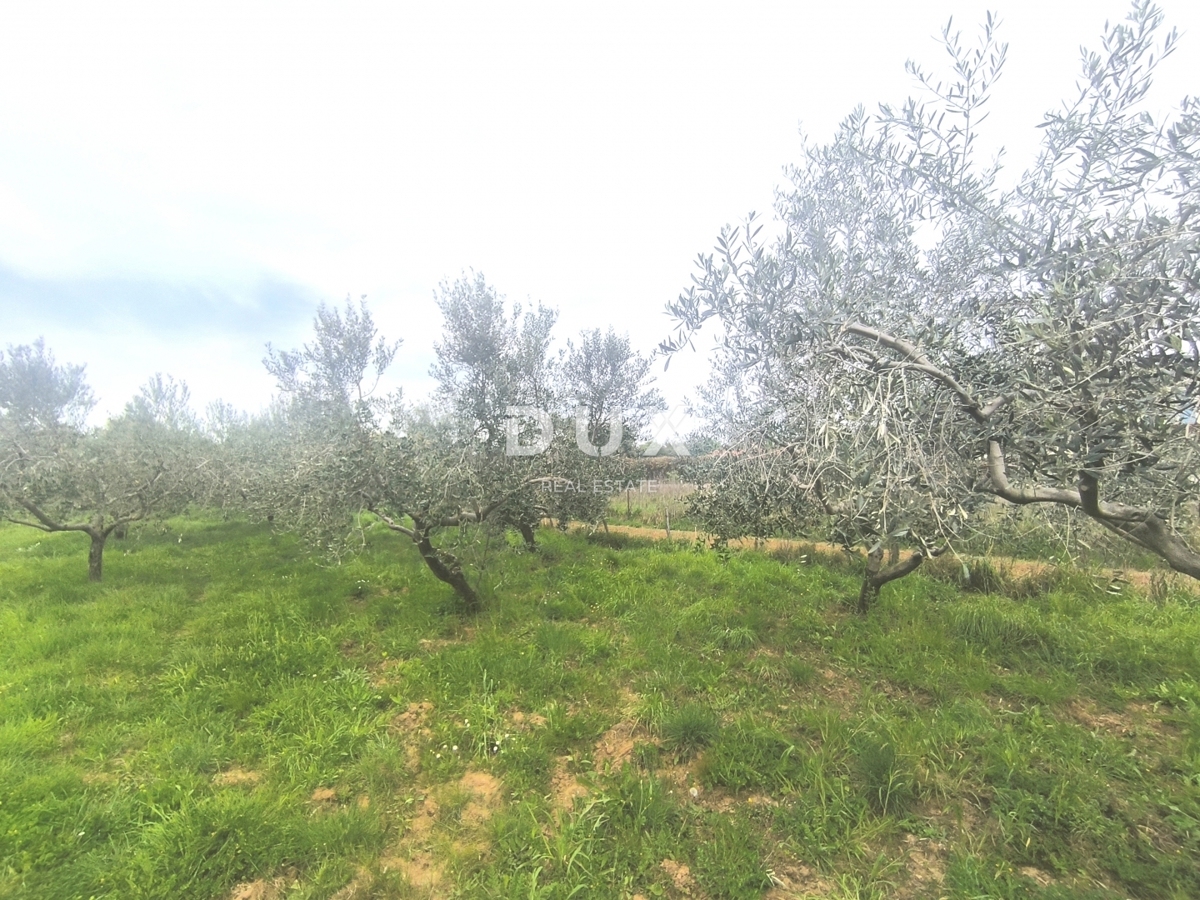 Zemljišče Premantura, Medulin, 1.010m2