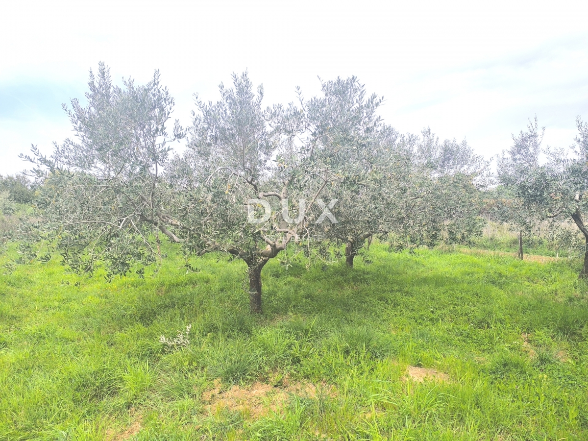 Zemljišče Premantura, Medulin, 1.010m2