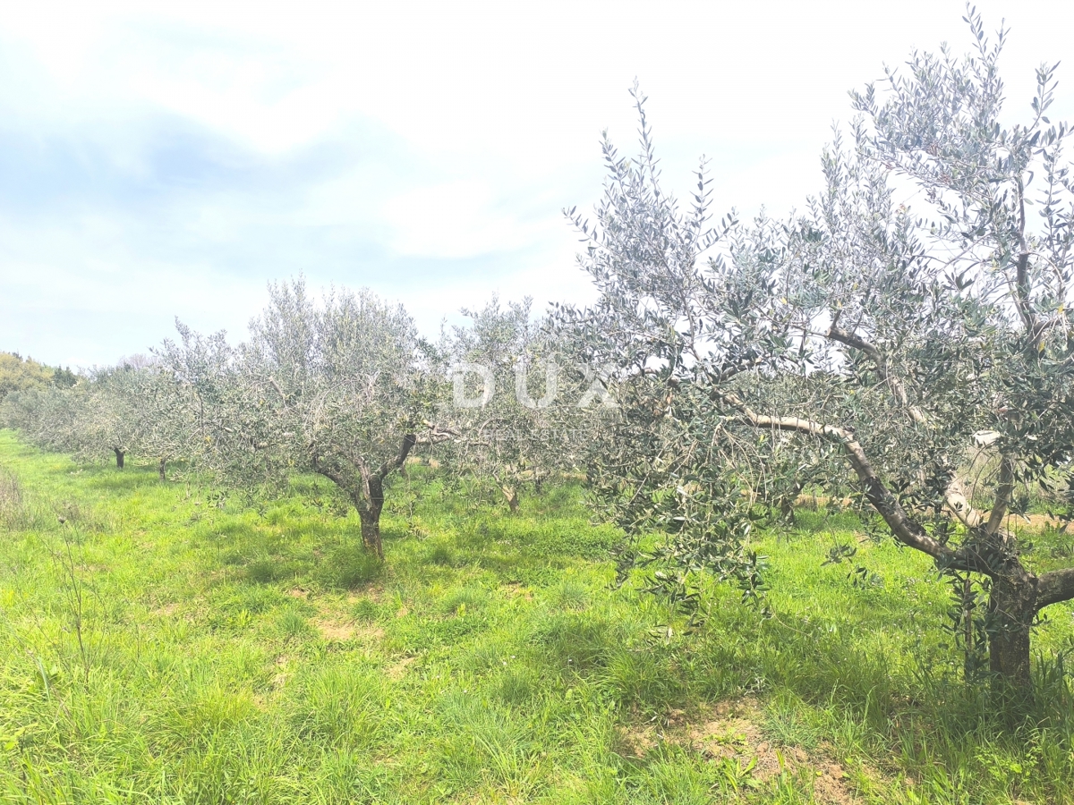 Zemljišče Premantura, Medulin, 1.010m2